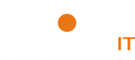 Guinée IT